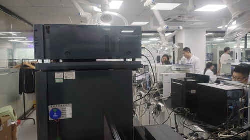 深圳電子煙銷售冠軍 爆款背后的平凡奮斗者