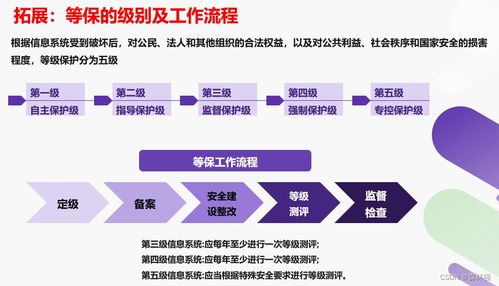 信息系統網絡安全方案 基于“3保1評”的軟件開發實踐